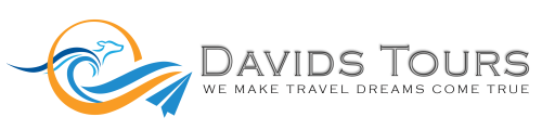 David's Tours